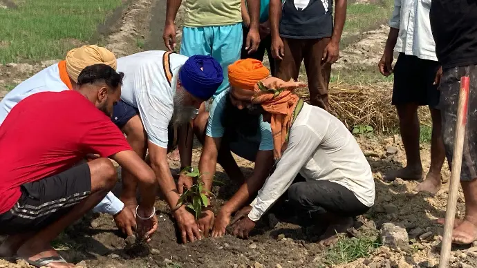 Freedom Organics Community 