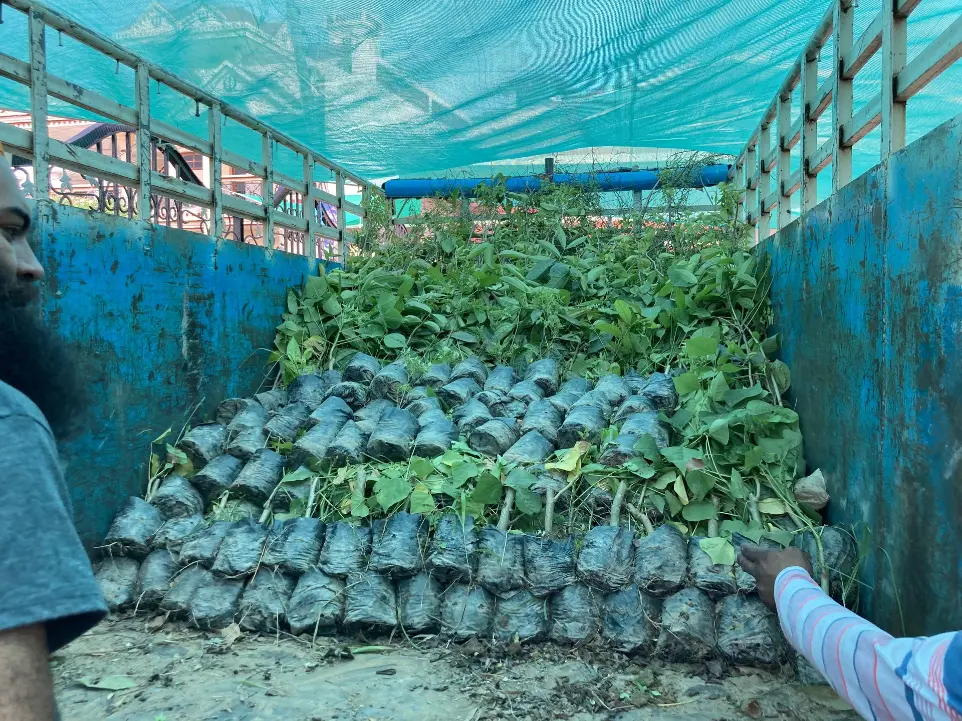 Freedom Organics Ecosystem Restoration