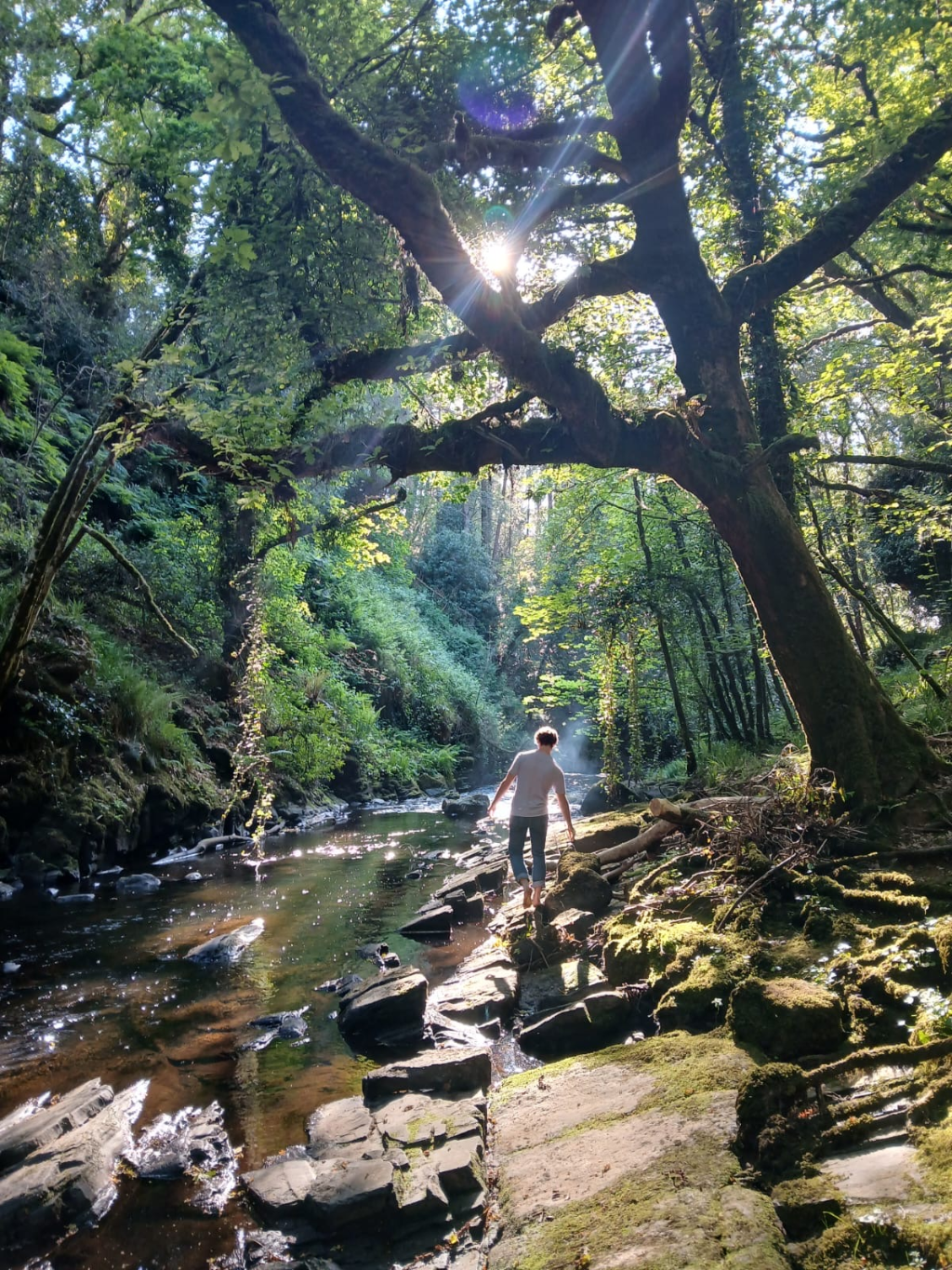 Dr Tristan Allerton Freedom Organics